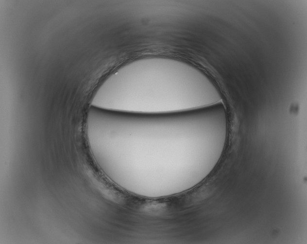 X0000115580257200911101000