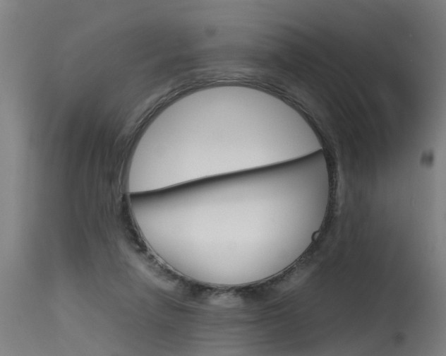 X0000115580258200911101000