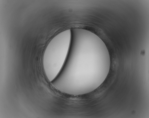 X0000115580259200911101000