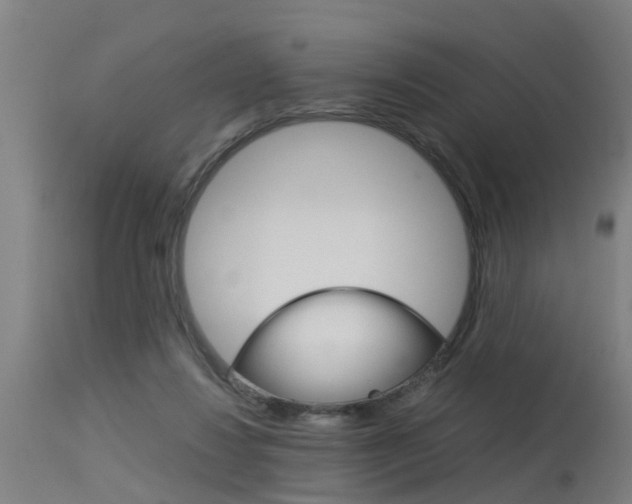 X0000115580260200911101000