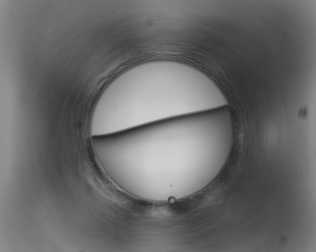 X0000115580262200911101000