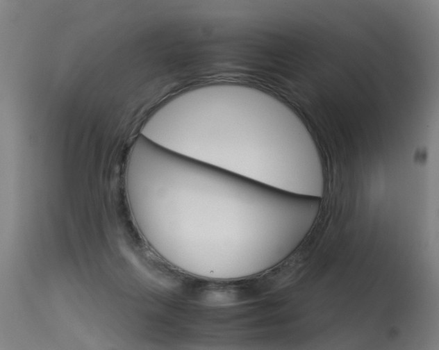 X0000115580263200911101001