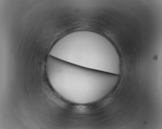 X0000115580265200911101001