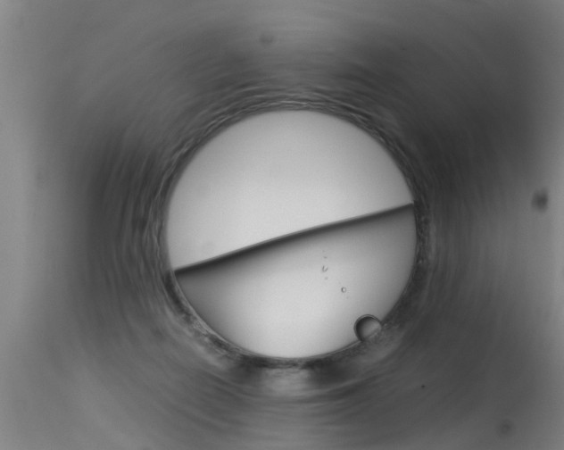 X0000115580266200911101001