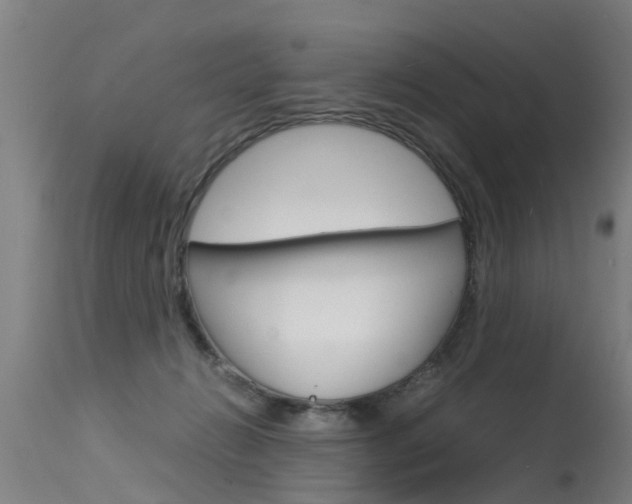 X0000115580270200911101001