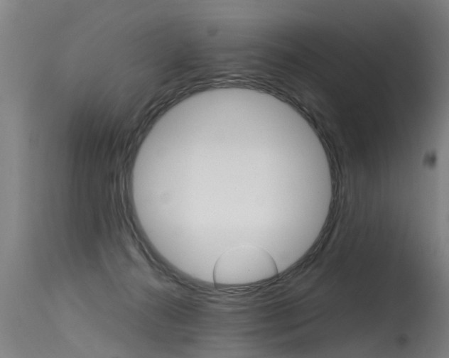 X0000115580272200911101001