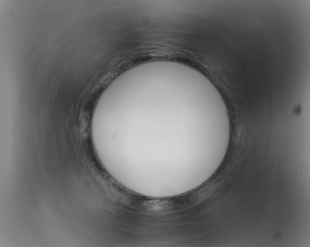 X0000115580273200911101001