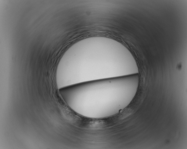 X0000115580274200911101001