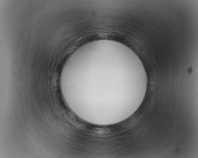 X0000115580275200911101001