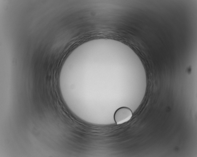 X0000115580276200911101001