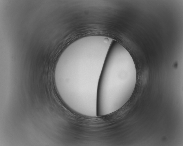 X0000115580277200911101001