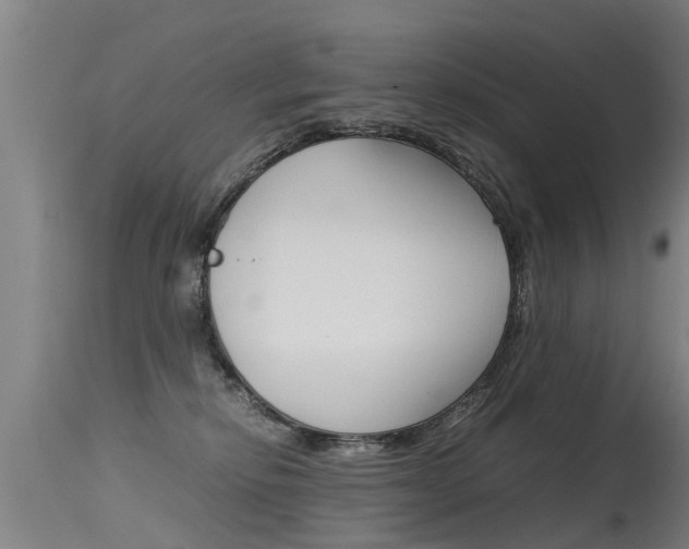 X0000115580278200911101001