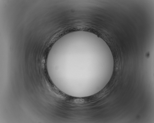 X0000115580279200911101001