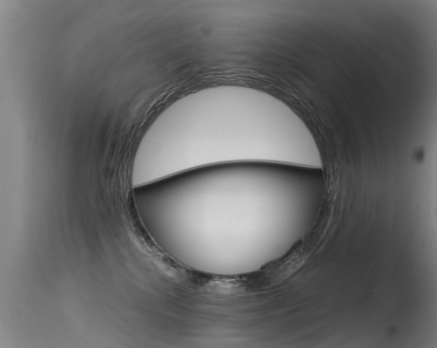 X0000115580280200911101001