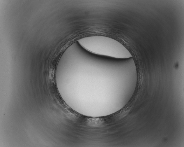 X0000115580281200911101001