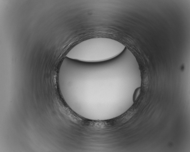 X0000115580282200911101001