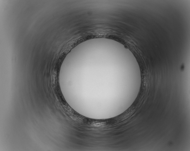 X0000115580283200911101001