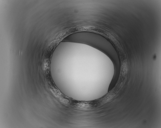 X0000115580284200911101001