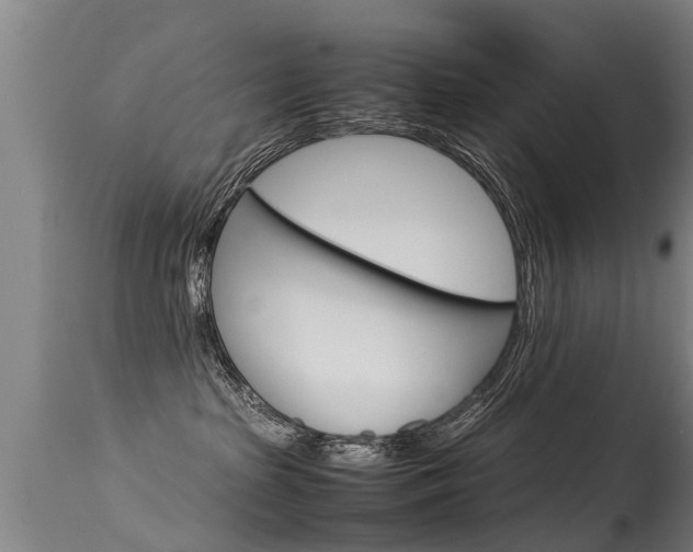 X0000115580285200911101001