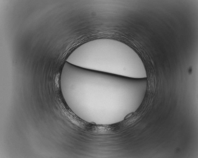 X0000115580286200911101001