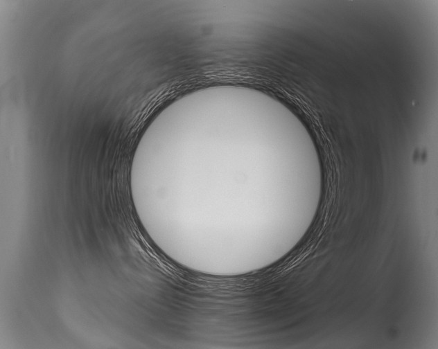 X0000115580288200911101001