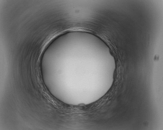 X0000115580289200911101000
