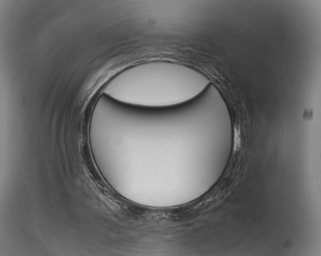 X0000115580291200911101000