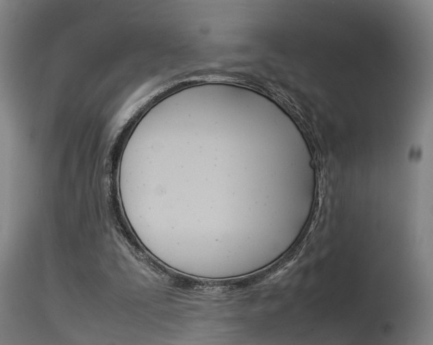X0000115580295200911101000