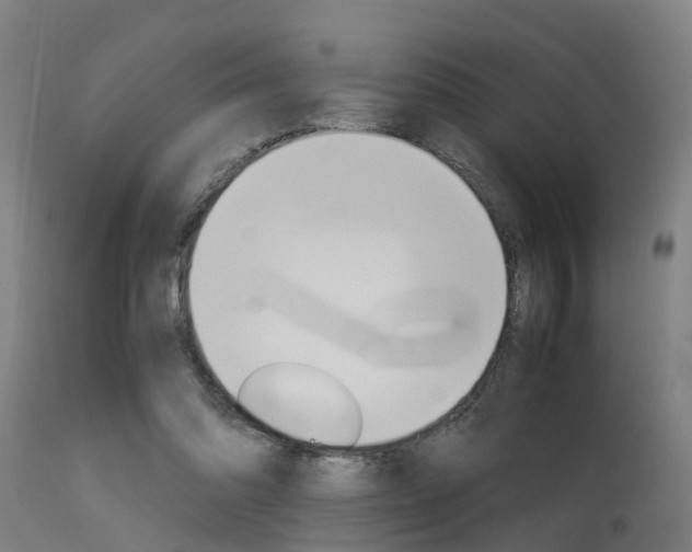 X0000115580302200911101000
