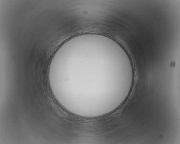 X0000115580305200911101000