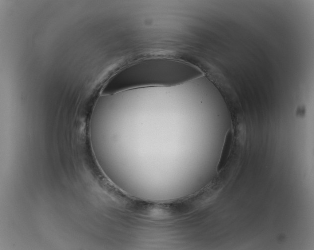 X0000115580308200911101000