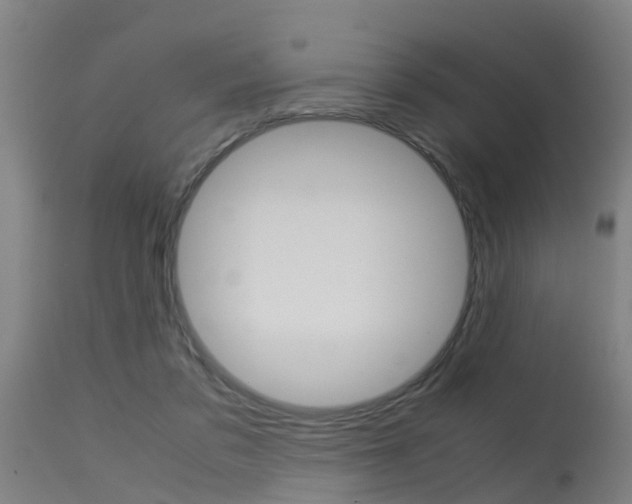 X0000115580309200911101000