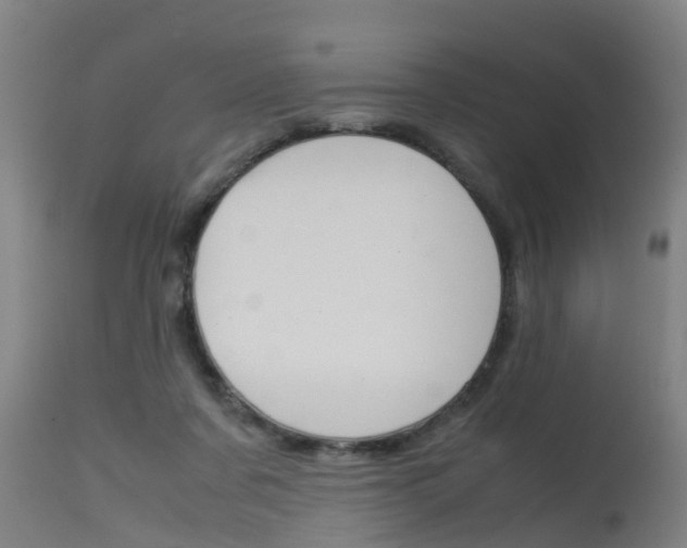 X0000115580311200911101000