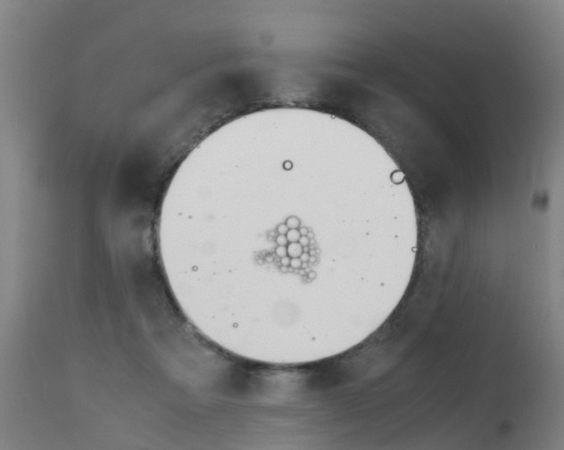X0000115580313200911101000