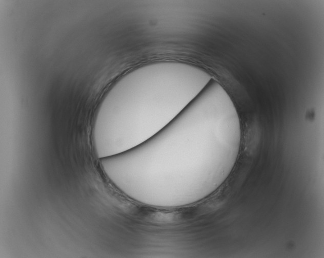 X0000115580314200911101000