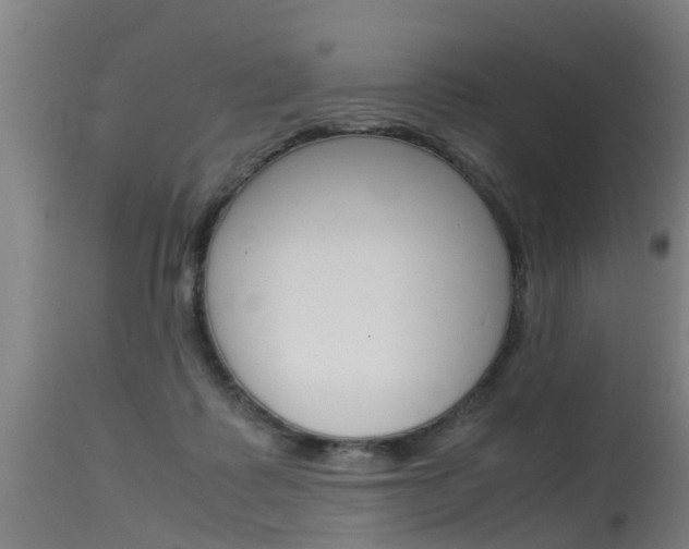 X0000115580315200911101000