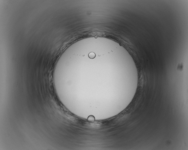 X0000115580318200911101000