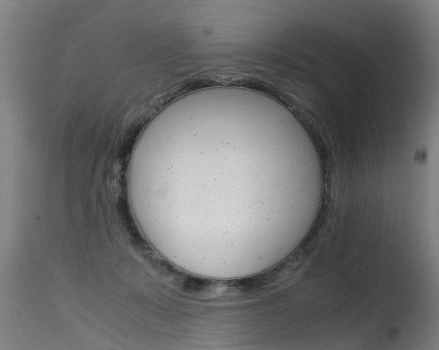 X0000115580319200911101000