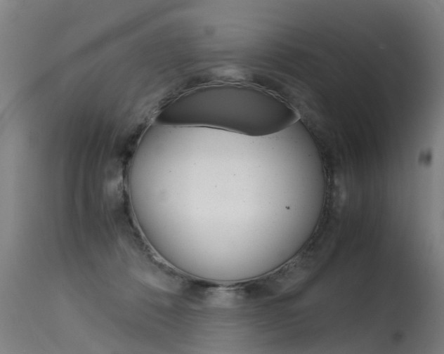 X0000115580320200911101000