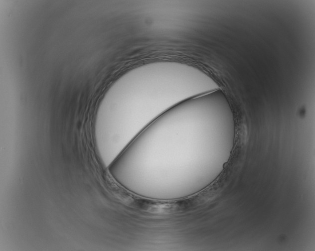 X0000115580323200911101000