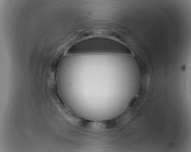 X0000115580327200911100959
