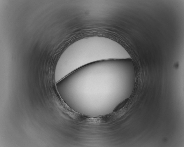 X0000115580328200911100959