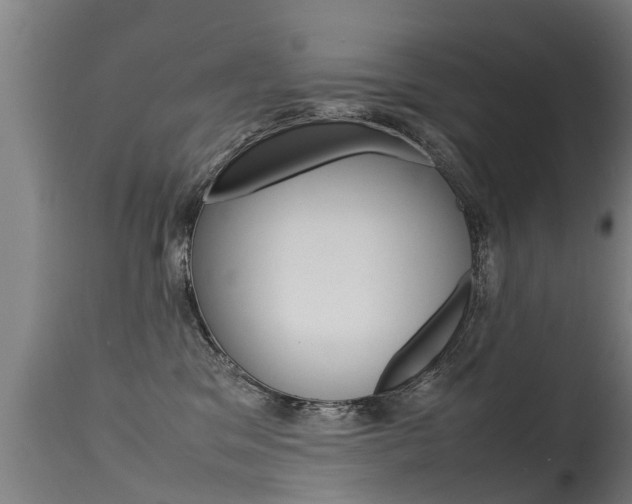 X0000115580329200911100959