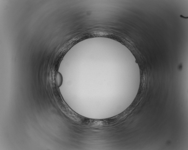 X0000115580330200911100959