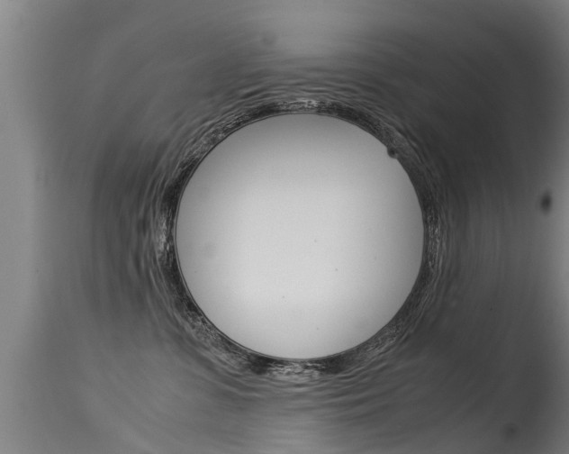 X0000115580331200911100959