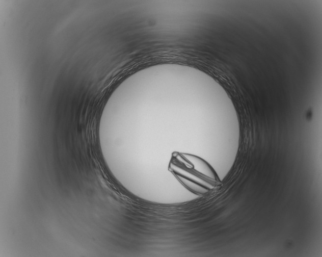 X0000115580332200911100959
