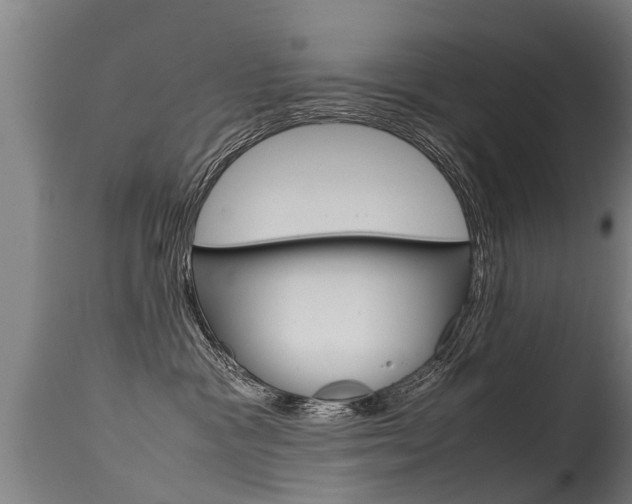 X0000115580333200911100959