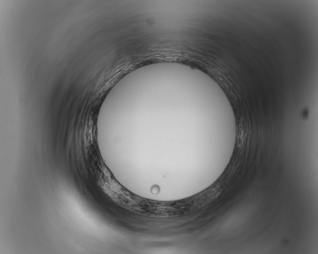 X0000115580334200911100959