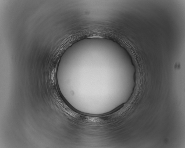 X0000115580336200911100959