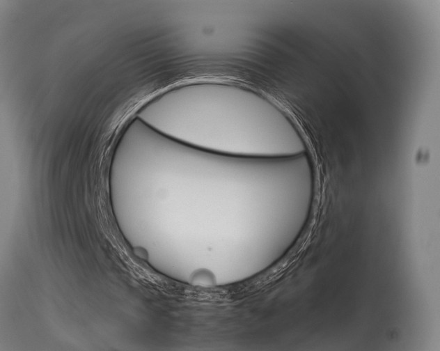 X0000115580337200911100959
